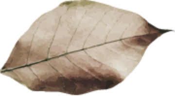 leaf