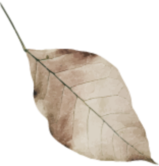leaf