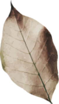 leaf
